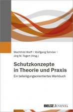 Schutzkonzepte in Theorie und Praxis