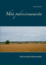 Yhta puliveivaamista