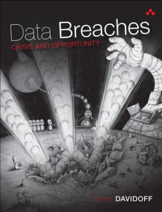 Data Breaches