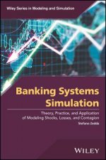 Banking Systems Simulation - Theory, Practice, and Application of Modeling Shocks, Losses, and Contagion