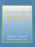 Neurosurgical Review