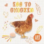 Egg To Chicken
