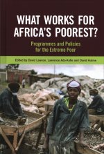 What Works for Africa's Poorest
