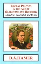 Liberal Politics in the Age of Gladstone and Rosebery