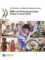 SME and entrepreneurship policy in Israel 2016