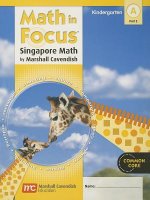 MATH IN FOCUS SINGAPORE MATH