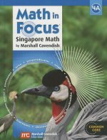MATH IN FOCUS SINGAPORE MATH