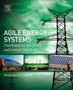 Agile Energy Systems