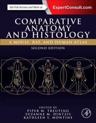 Comparative Anatomy and Histology