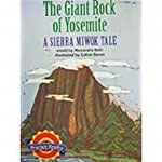HOUGHTON MIFFLIN READING LEVEL