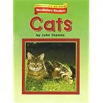 HOUGHTON MIFFLIN VOCABULARY RE