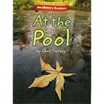 HOUGHTON MIFFLIN VOCABULARY RE