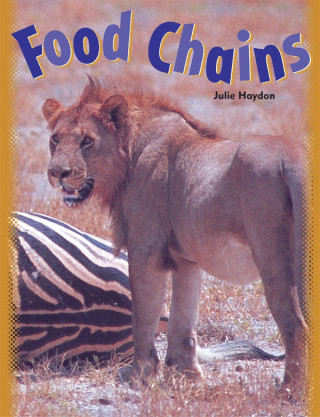 FOOD CHAINS SET-6PK W/TG