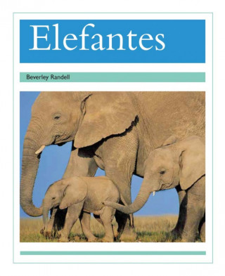 SPA-ELEFANTES