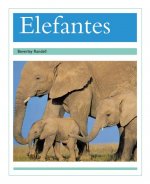 SPA-ELEFANTES