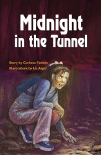 MIDNIGHT IN THE TUNNEL
