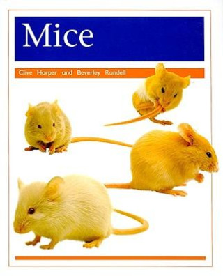 MICE GRADE 1