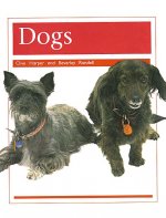 DOGS