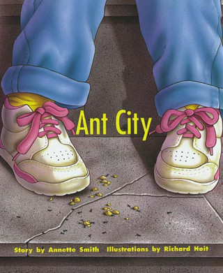 ANT CITY
