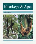 MONKEYS & APES