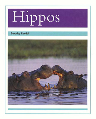 HIPPOS