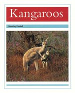 KANGAROOS