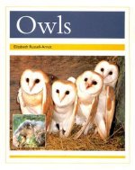 OWLS