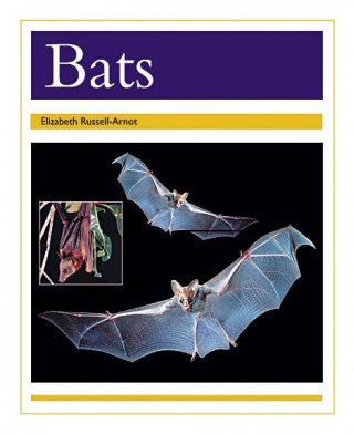 BATS