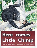 HERE COMES LITTLE CHIMP