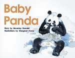 BABY PANDA