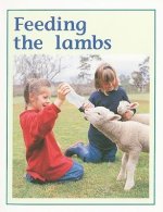 FEEDING THE LAMBS