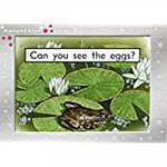 RIGBY PM PLATINUM COLL