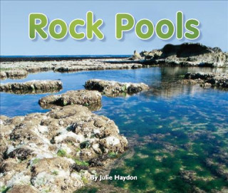 ROCK POOLS-7PK