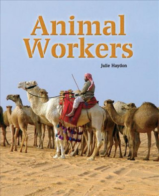 ANIMAL WORKERS 7PK