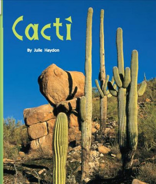 CACTI W/TG-6PK