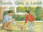SANDY GETS A LEASH