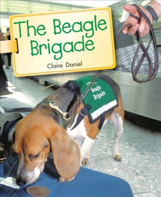 BEAGLE BRIGADE