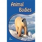 ANIMAL BODIES W/BKLT 6PK