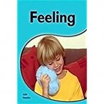 FEELING W/TG-6PK