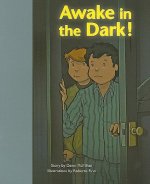 AWAKE IN THE DARK