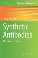 Synthetic Antibodies