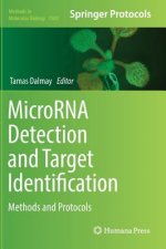 MicroRNA Detection and Target Identification