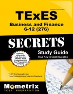 TEXES BUSINESS & FINANCE 6-12
