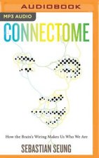 CONNECTOME                   M