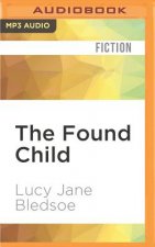 The Found Child: A Tale of Unauthorized Parenthood