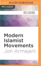 Modern Islamist Movements: History, Religion, and Politics
