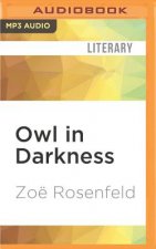 OWL IN DARKNESS              M