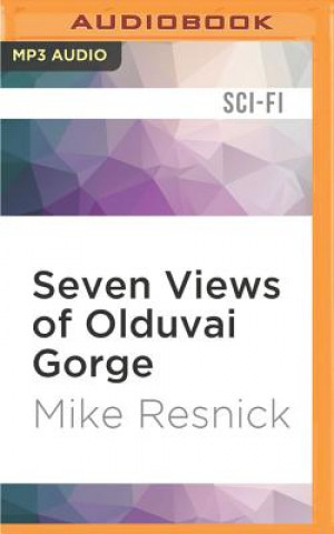 7 VIEWS OF OLDUVAI GORGE     M