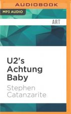 33 1/3 U2S ACHTUNG BABY      M