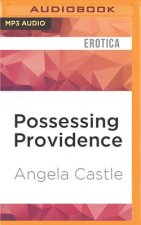 POSSESSING PROVIDENCE        M